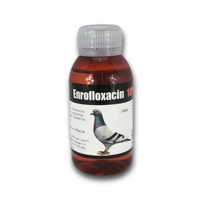 Enrofloxacin Avian Generic Antibiotic for treating sick birds - Avian Medications - Glamorous Gouldians