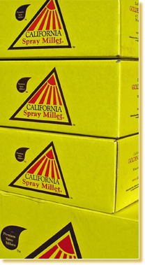California Golden Spray Millet - 25lb Bulk box - Lady Gouldian Finch Supplies - Food - Seed