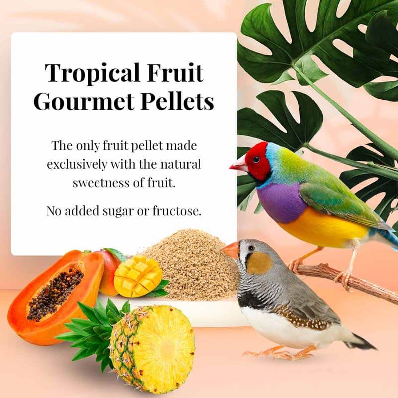 Lafeber Tropical Fruit Finch pellets - Non Gmo Food for Finches - Bird Food - Glamorous Gouldians