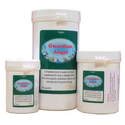 Bird Care Co Guardian Angel - Sick Bird Supplement - Avian Medication - Glamorous Gouldians