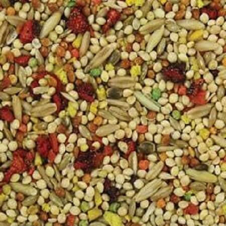 Higgins Vita Parakeet - Fortified Seed Mix for Parakeets - Bird Food - Glamorous Gouldians