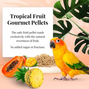 Lafeber Conure Tropical Fruit Pellets-only fruit pellet made exclusively with the natural taste of fruit-Non GMO Bird Food