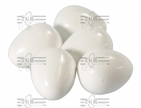 Medium Plastic Parakeet Eggs - 2GR - Breeding Supplies - Accessories