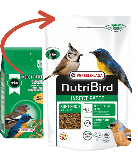 Orlux Insect Patee Min. 25% Insects 1kg - Insectivore Food - Bird Food - Bird Supplies