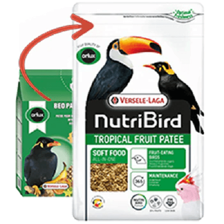 NutriBird - Tropical Fruit Patee - Frugivore Food - Lady Gouldian Finch Supplies USA - Glamorous Gouldians