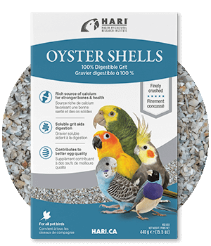 Hari Oyster shells - Hagen Products - 100% digestible grit - Avian Vitamins and Minerals - Glamorous Gouldians