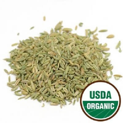 Certified Organic Fennel-Lady Gouldian Finch Supplies USA-Glamorous Gouldians