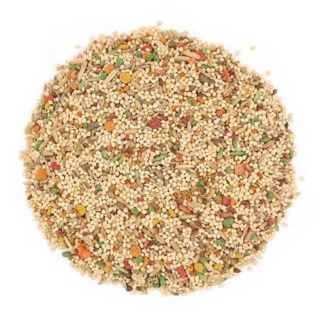 Sunseed Vita Parakeet Diet - Fortified Parakeet Seed Mix - Bird Food - Parakeet Supplies - Glamorous Gouldians