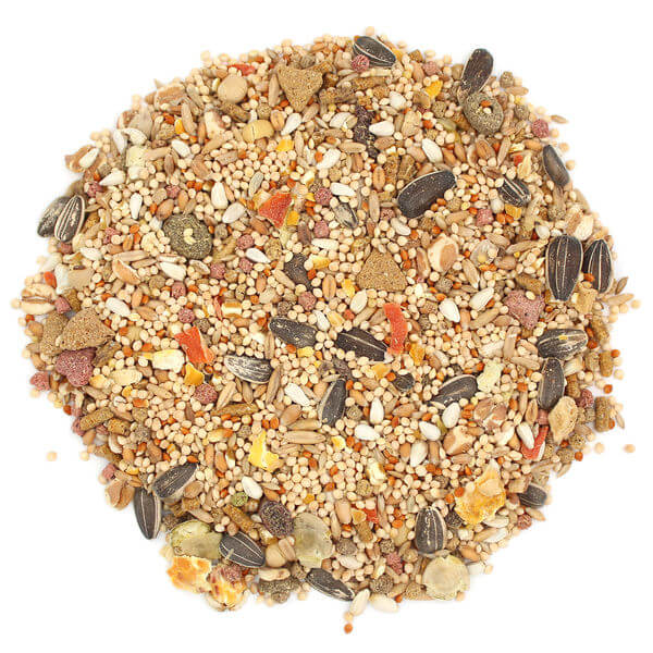 Sunseed Vita Prima Cockatiel & Lovebird Food-Close-up-Fortified Diet-Bird Food-Glamorous Gouldians