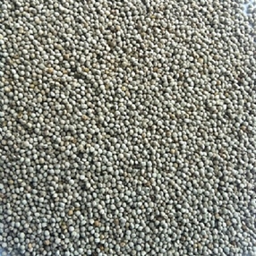 White Perilla Seed is a great breeding seed to add to your mix, Finch And Canary Breeding Supplies, Food