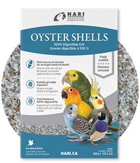 Oyster Shells - Hagen - 100% digestible grit for all pet birds - Calcium Supplements - Bird Supplies