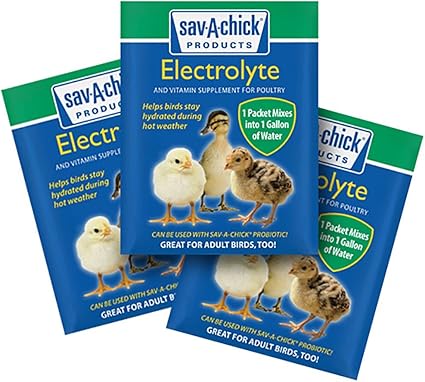 Sav-A-Chick Electrolyte and Vitamin Packages - Helps bird stay hydrated - Avian Support Supplement - Glamorous Gouldians